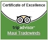 Maui home rental reviews